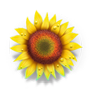 Booster_Sunflower.png